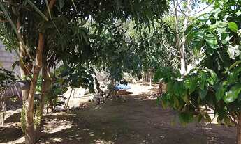 Imagem 6: Imóvel Chácara com venda por R$400