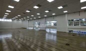 Imagem 3: Amplo Andar em Rudge Ramos para Alugar