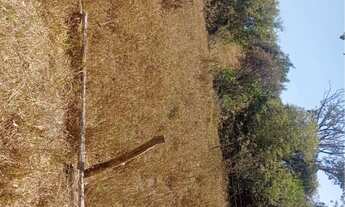 Imagem 3: Lago Corumbá 04