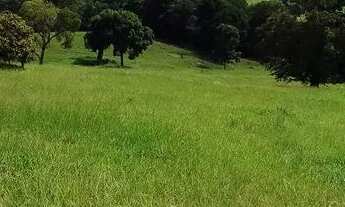 Imagem 7: Chácara em Pontalina