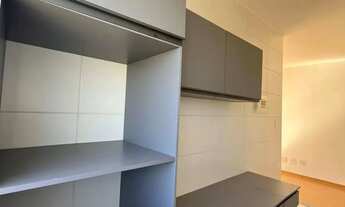 Imagem 2: Palmeira Dourada - 105 Norte