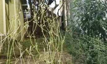 Imagem 6: AREA - PARQUE DAS NAÇÕES - SP