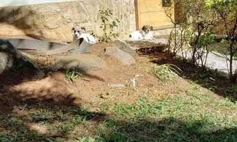 Imagem 4: Casa com 3 dormitórios, 295 m² - venda por R$ 1.650.000 ou aluguel por R$ 7.500/mês - Vila