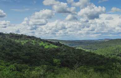 Imagem: Vendo Terrenos de 20.000m2 em Condomínio