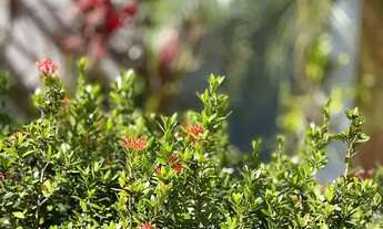 Imagem 6: Sobrado para venda com 237 metros quadrados com 3 quartos em Santa Regina - Camboriú - SC