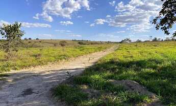 Imagem 2: Chácaras de 20mil mt com Rio passa quatro no fundo!