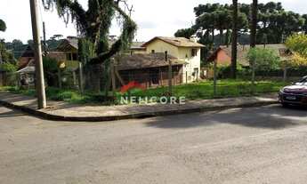 Imagem: Lote em rua das Americas - Palace Hotel