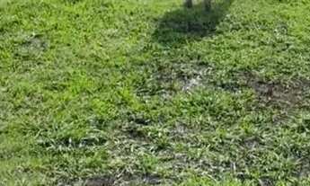 Imagem 4: Ibiúna SP Lote de 1.000m² em condomínio com lago