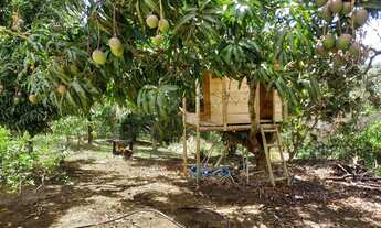 Imagem 5: Chácara BLAK FRIDAY