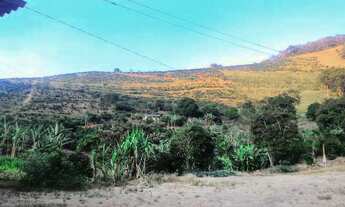 Imagem 4: Sítio com nascente em Guaçuí, produzindo ao lado da cidade