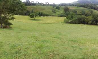 Imagem: Chacara de 12.500M2 em Consolação no Sul
