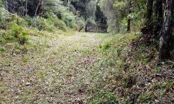 Imagem 2: Terreno 50.000 m2 - 195 mil Bocaiuva do Sul Pr