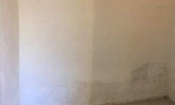 Imagem 5: Casa para alugar