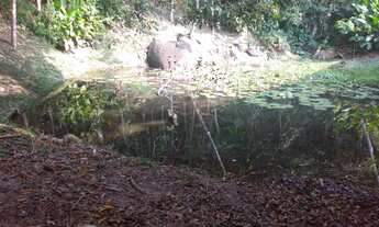 Imagem 3: Terreno à venda, 11023 m² por R$ 10.000.000,00 - Cacupé - Florianópolis/SC