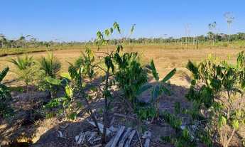 Imagem 5: Vendo Sítio de 35 Hectares no KM 100, Ramal São Bernardo. BR 319