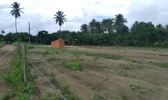 Imagem 5: Vendo exelente terreno na Rota dos Milagres-Al