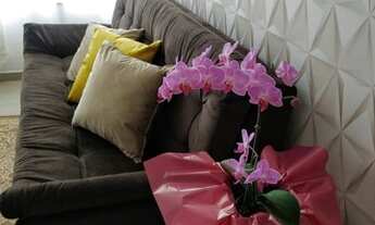 Imagem 3: Tramandaí - Apartamento Padrão - Centro