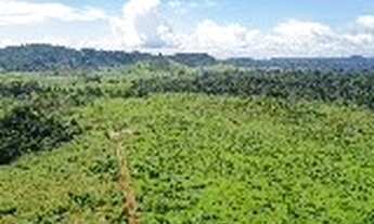 Imagem 6: Fazenda para venda com 942 alqueires, em São Falix do Xingú - PA
