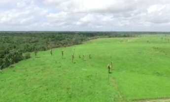 Imagem 5: R$2 milhões de reais fazenda a 80 km de Castanhal 50 alqueires
