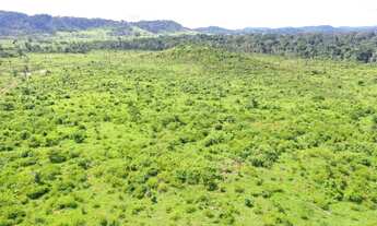 Imagem 3: Fazenda para venda com 942 alqueires, em São Falix do Xingú - PA