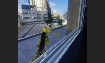 Imagem 5: PARAÍSO - 116m² área útil. Apartamento reformado, com 03 dormitórios, sendo 01 suíte. Ampl