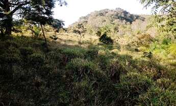 Imagem 2: Terreno 29ha, terra boa e quase todo formado em branquearão, Baldim