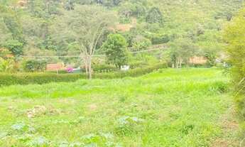 Imagem 3: Terreno com 3 mil metros quadrados, rodeado de verde e topografia excelente para construçã