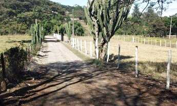 Imagem 6: Lindo Sitio na regiao de Saltinho