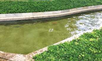 Imagem 7: Apartamento para venda com 111 metros quadrados com 3 quartos em Ipiranga - São Paulo - SP