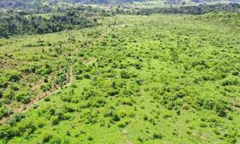 Imagem 2: Fazenda para venda com 942 alqueires, em São Falix do Xingú - PA