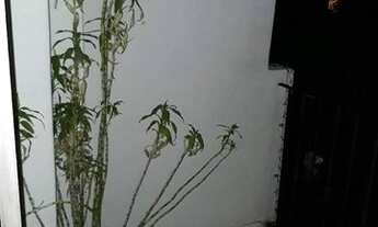 Imagem: Apartamento no Bairro casa Verde, dois dormitorios