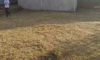 Imagem 3: Casa com terreno de 870m