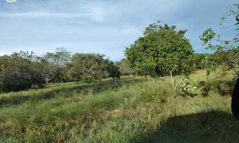 Imagem: FAZENDA À VENDA EM SANTA MARIA DAS BARREIRAS