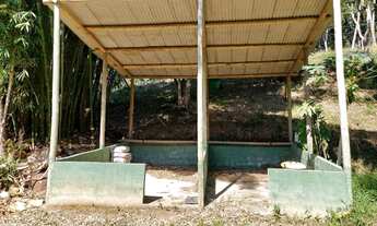 Imagem 6: Sítio para Venda em Teresópolis, Vargem Grande, 1 dormitório, 1 banheiro