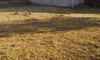 Imagem 4: Casa com terreno de 870m