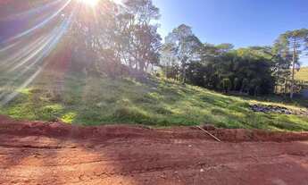 Imagem 5: DB- Vendo Terreno para lazer e tranquilidade