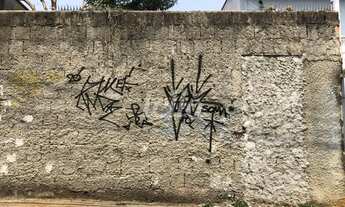 Imagem: São Paulo - Terreno Padrão - Mooca