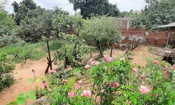 Imagem 5: Vendo casa na região central de São Carlos dó Ivaí