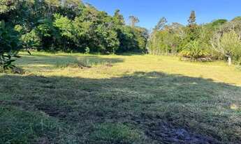 Imagem 9: Sítio Plano E Com Nascente Para Fazer Açude. ROB:364