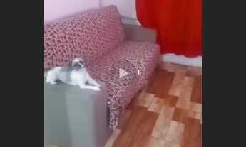 Imagem: Vendo chave ou quitado ou troco apto