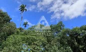 Imagem 2: Casa Jardim Botânico com 4 quartos, área de recreação, piscina, estacionamento coberto