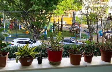 Imagem 2: Excelente três quartos para aluguel no Jardim Apipema - 3/4 - 72 m2 - Semi mobiliado - Sal