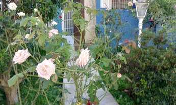 Imagem: Casa de esquina - Jardim São Paulo.AGENDE