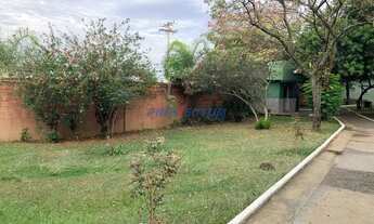 Imagem 6: Apartamento - Vila Padre Manoel de Nóbrega - Campinas