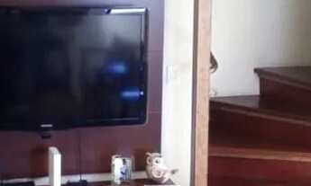 Imagem: Venda Cobertura 2 Dormitórios - 106 m²