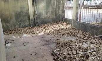 Imagem 5: Vendo Casa setor sul