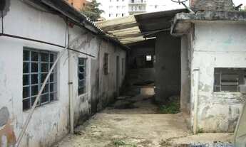 Imagem 7: GALPÃO - SANTO AMARO - SP