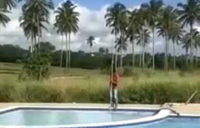 Imagem 7: Terreno em condomínio jardim Campo alegre