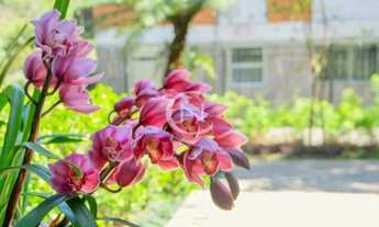 Imagem 5: APARTAMENTO COM 3 DORMITÓRIOS À VENDA, 311 M² POR R$ 3.658.100,00 - PLANALTO - GRAMADO/RS