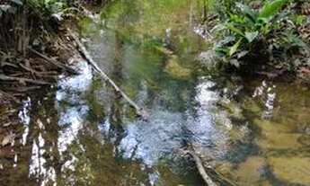 Imagem 3: Venda de terreno - BR 174 ( km 23